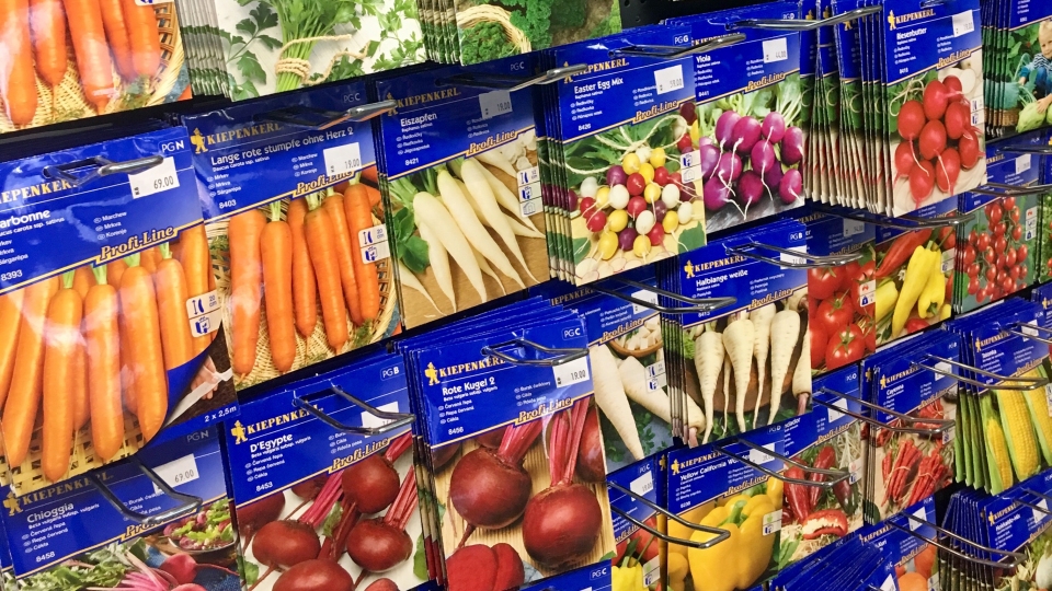 Semena zeleniny, letni�ek a trvalek