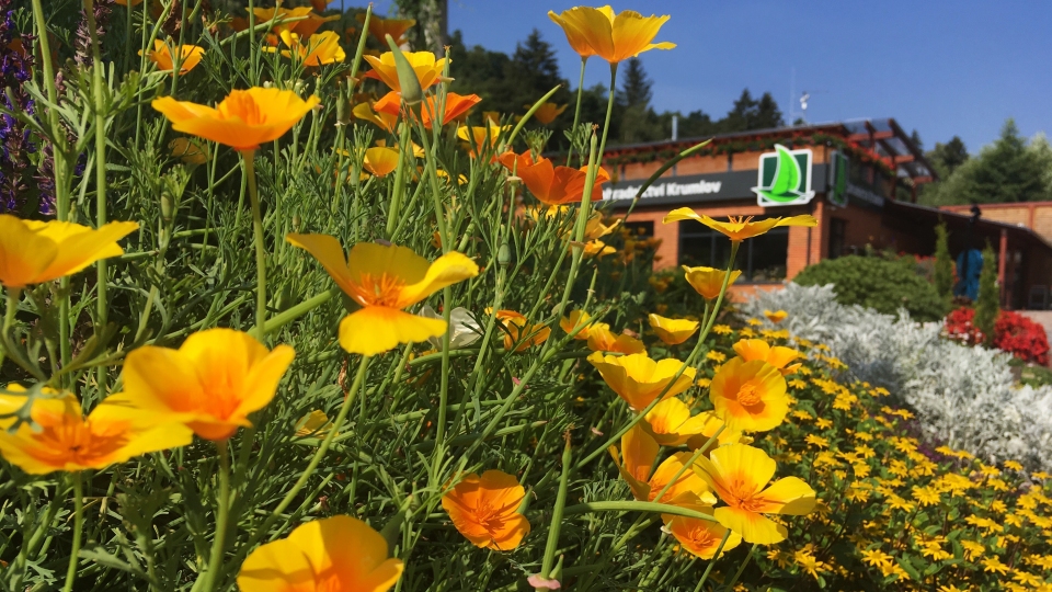 ZAHRADNICTV� KRUMLOV s.r.o.