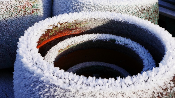 Pohled do zahradnictv� leden