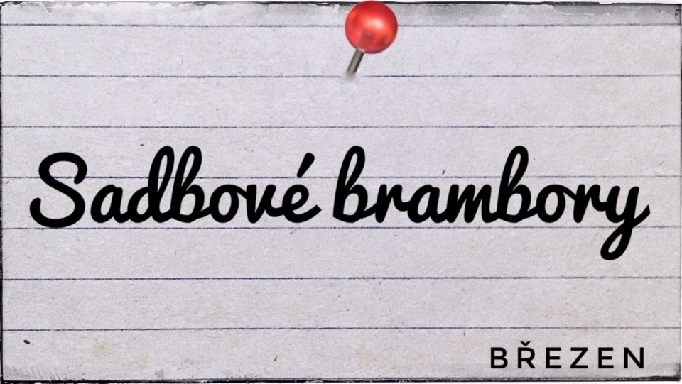 Sadbov� brambory - za��tek b�ezna