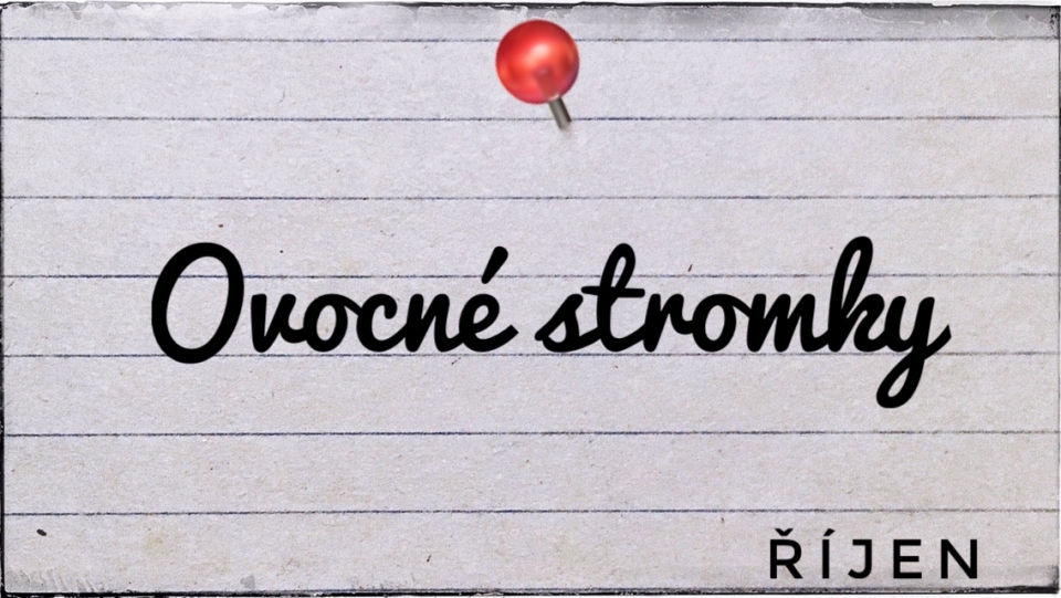 Prodej ovocn�ch stromk� - od poloviny ��jna