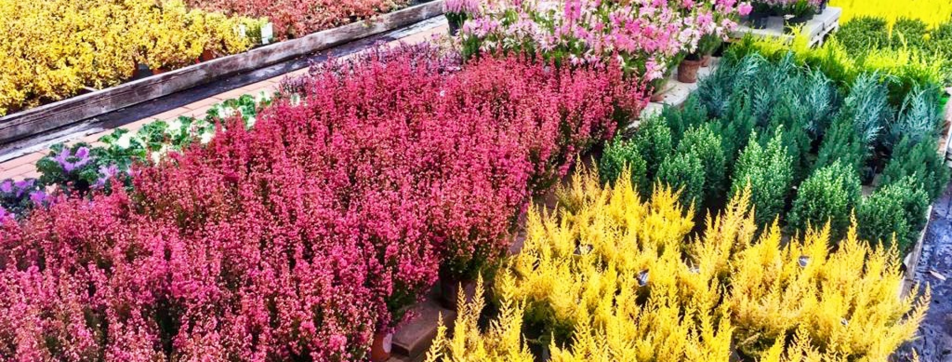 Zahradnictv� Krumlov