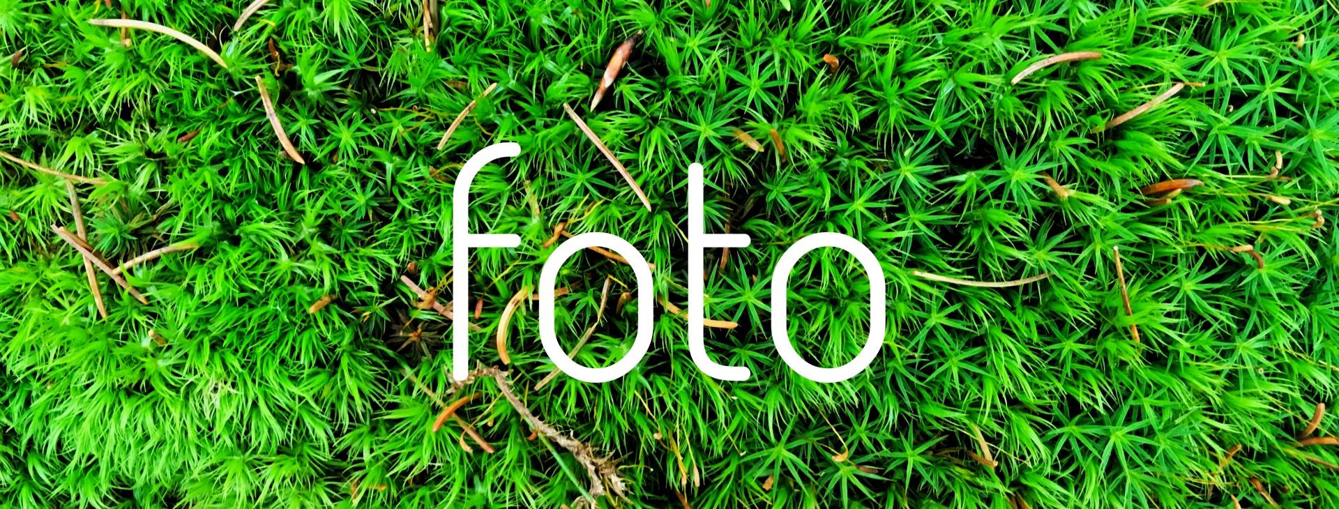 Zahradnictv� Krumlov