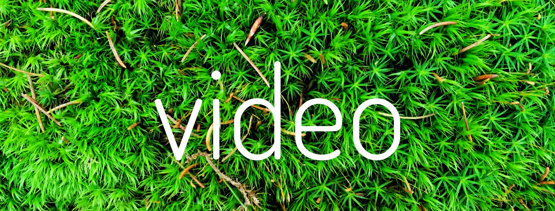 Zahradnictv� Krumlov