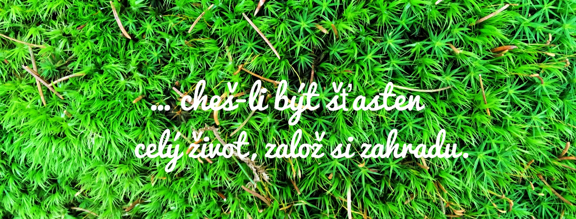 Zahradnictv� Krumlov