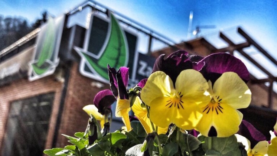 Pohled do zahradnictv�